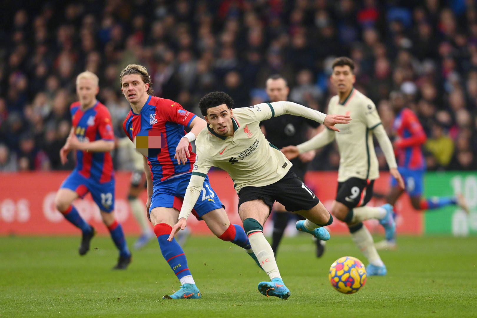 能将自己的 能将自己的